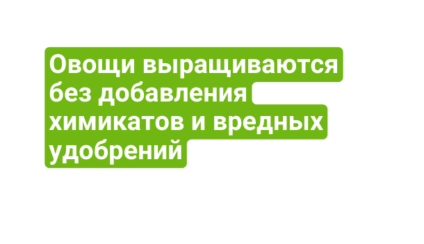 Овощи выращиваются без добавления химикатов и вредных удобрений